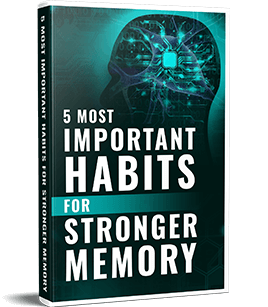 memory the brain song